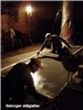 Thumbnail i gallery