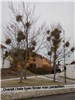 Thumbnail i gallery